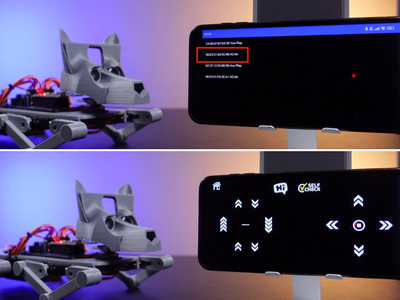 Launch the App and Move the Dog Robot